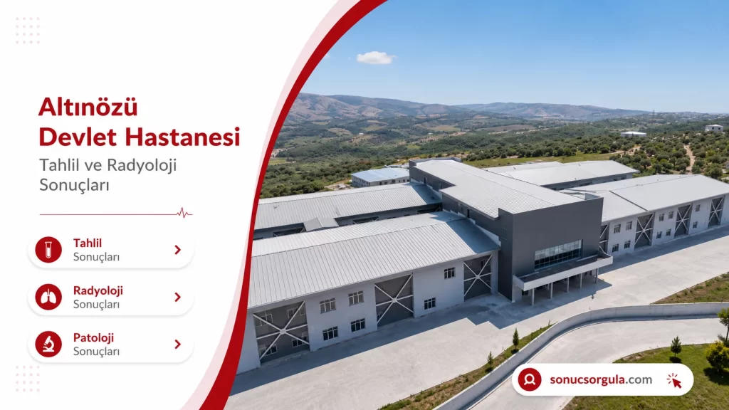 Altınözü Devlet Hastanesi