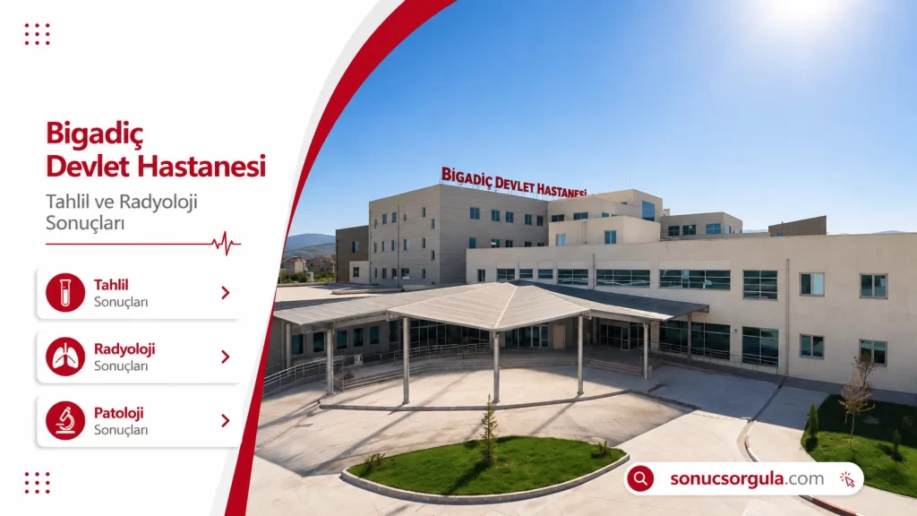 Bigadiç Devlet Hastanesi