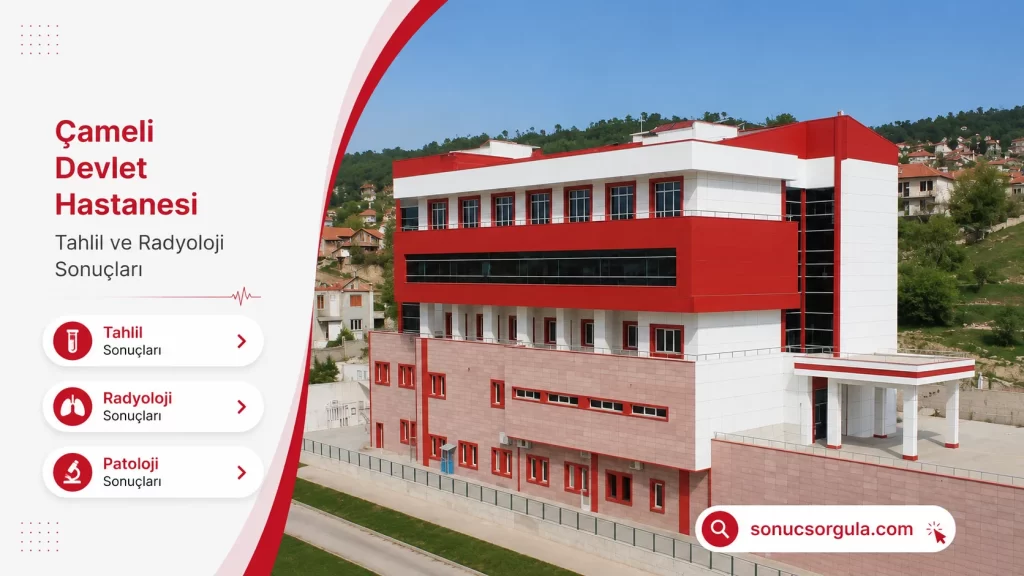 Çameli Devlet Hastanesi