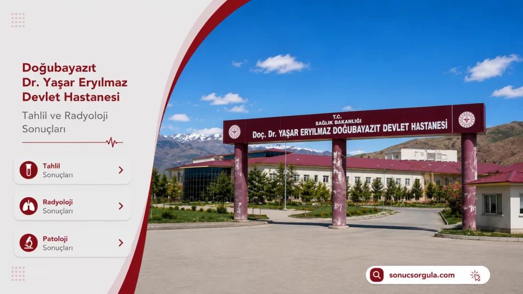 Doğubayazıt Devlet Hastanesi