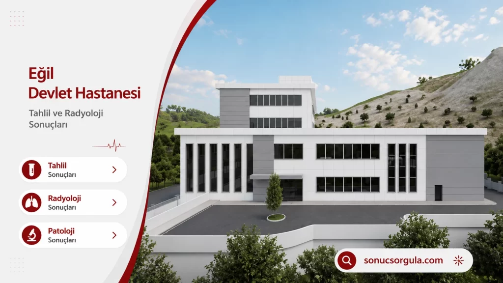 Eğil Devlet Hastanesi