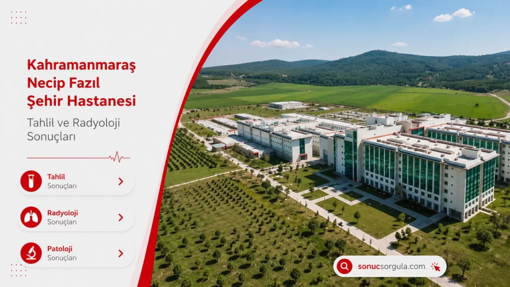 Kahramanmaraş Necip Fazıl Şehir Hastanesi