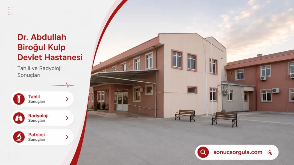 Dr. Abdullah Biroğul Kulp Devlet Hastanesi