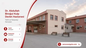 Dr. Abdullah Biroğul Kulp Devlet Hastanesi