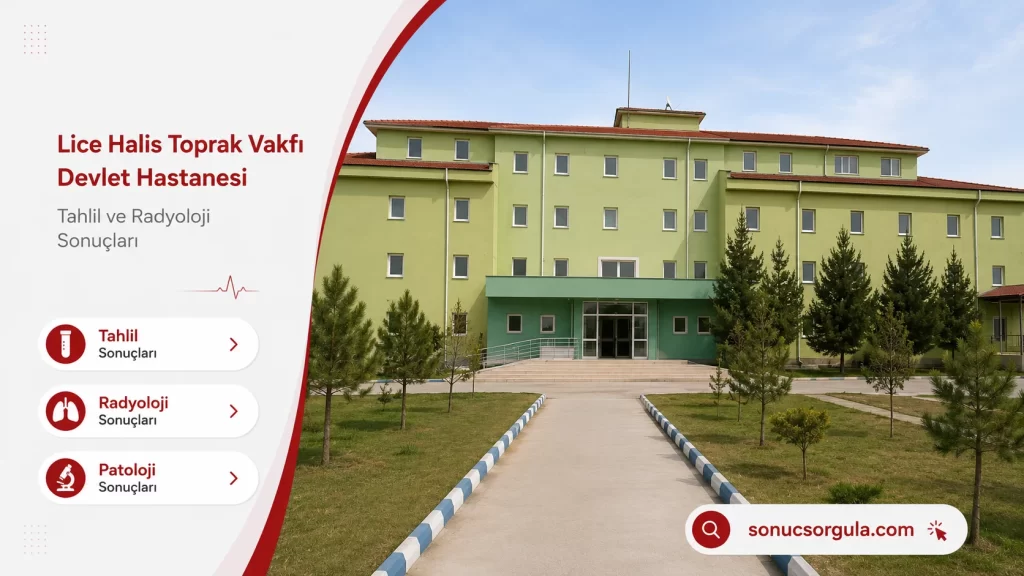 Lice Halis Toprak Vakfı Devlet Hastanesi