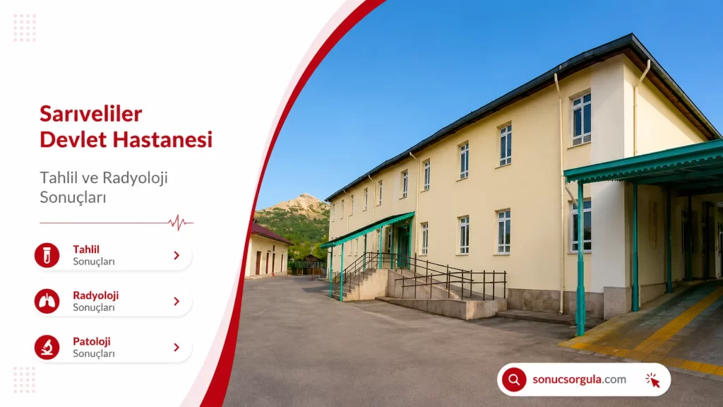 Sarıveliler Devlet Hastanesi