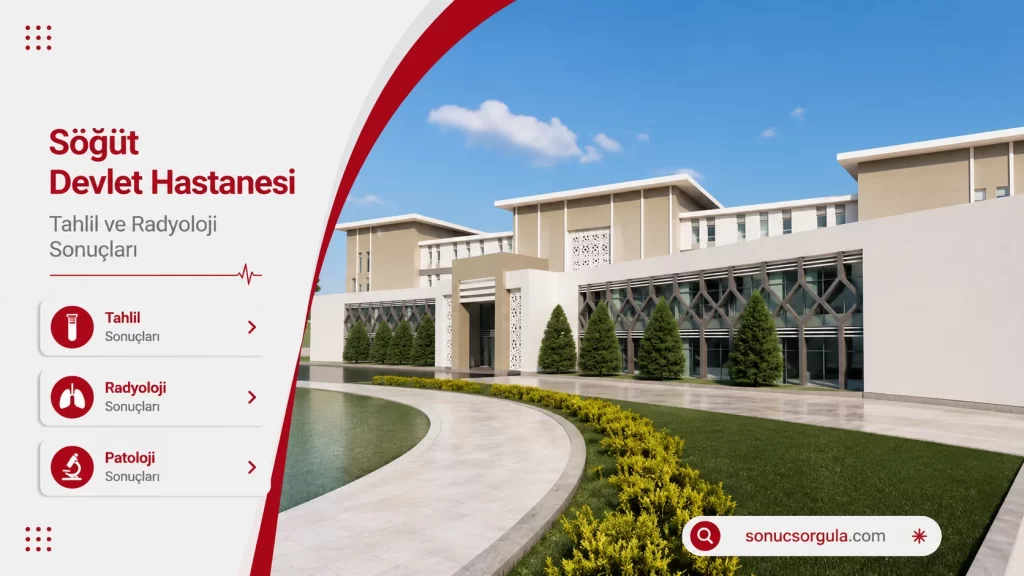 Söğüt Devlet Hastanesi