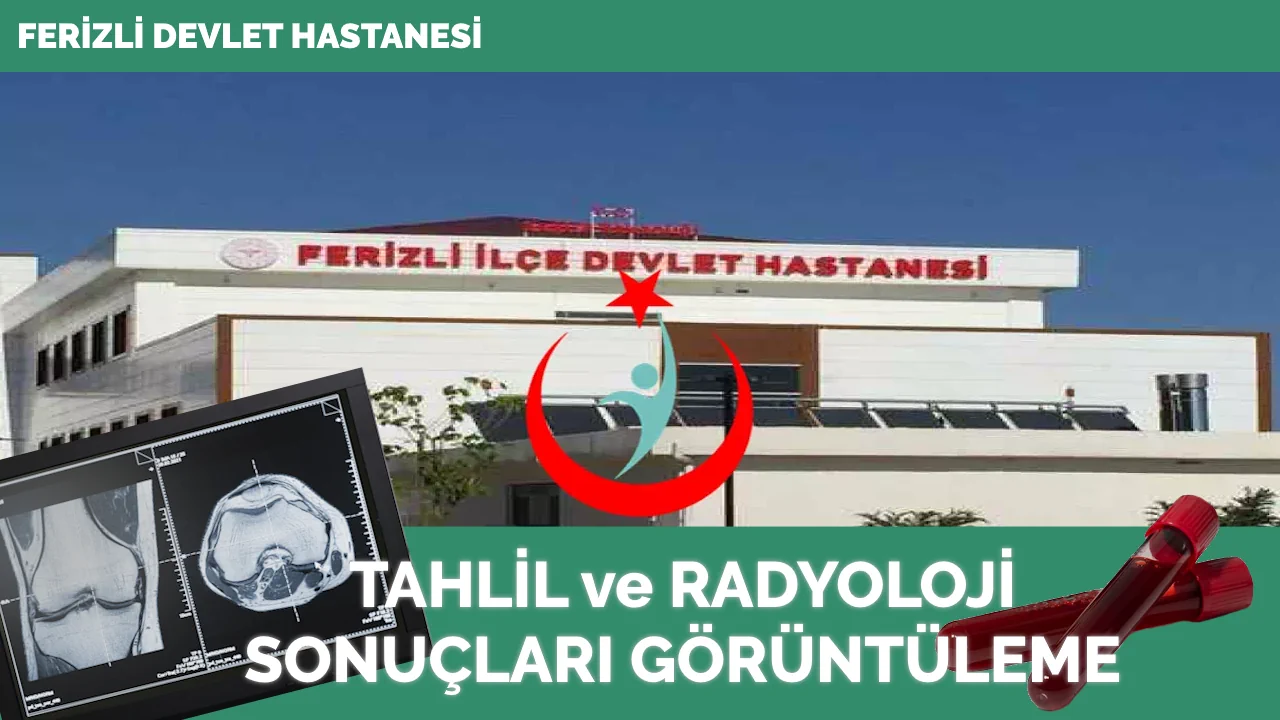 Ferizli Devlet Hastanesi