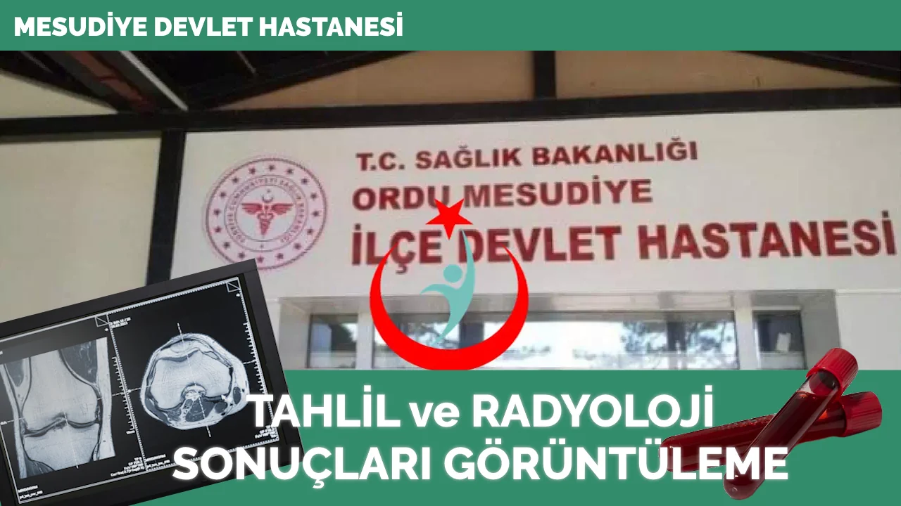 Mesudiye Devlet Hastanesi