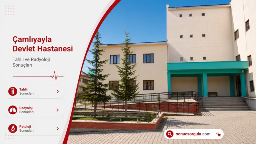 Çamlıyayla Devlet Hastanesi