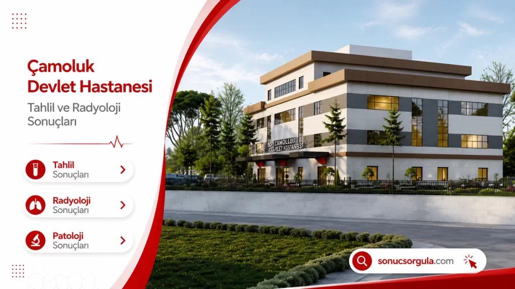 Çamoluk Devlet Hastanesi