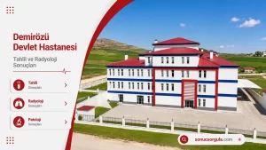 Demirözü Devlet Hastanesi