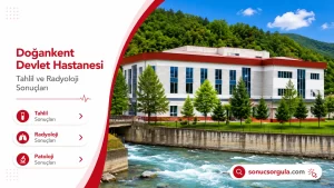 Doğankent Devlet Hastanesi