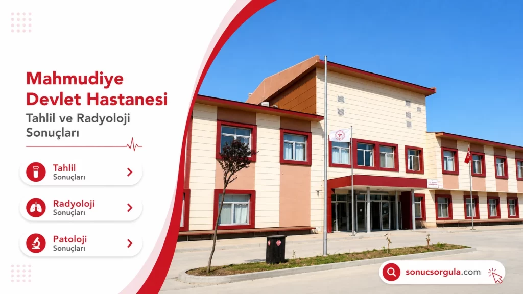 Mahmudiye Devlet Hastanesi