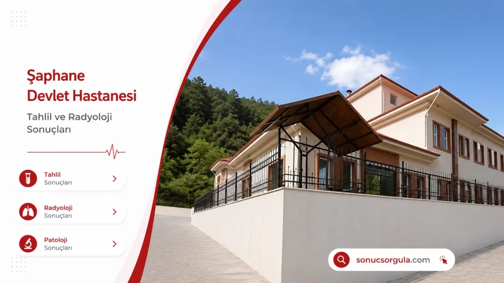 Şaphane Devlet Hastanesi