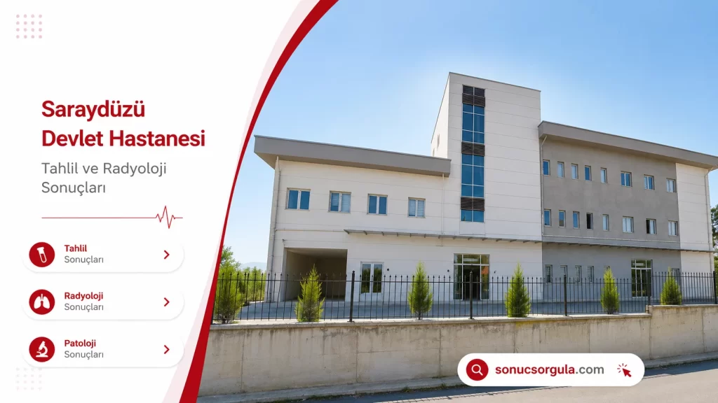 Saraydüzü Devlet Hastanesi