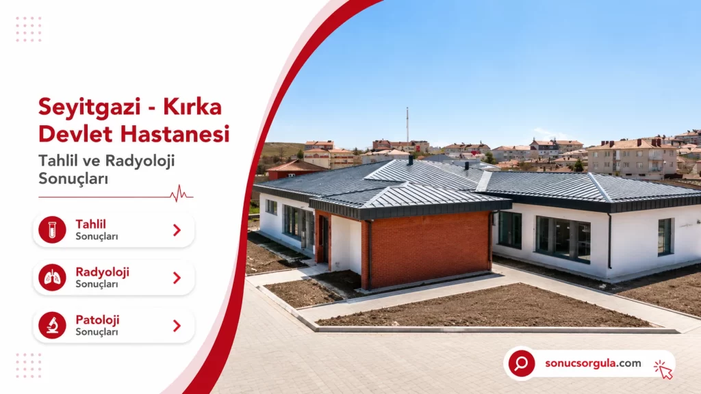 Seyitgazi Devlet Hastanesi