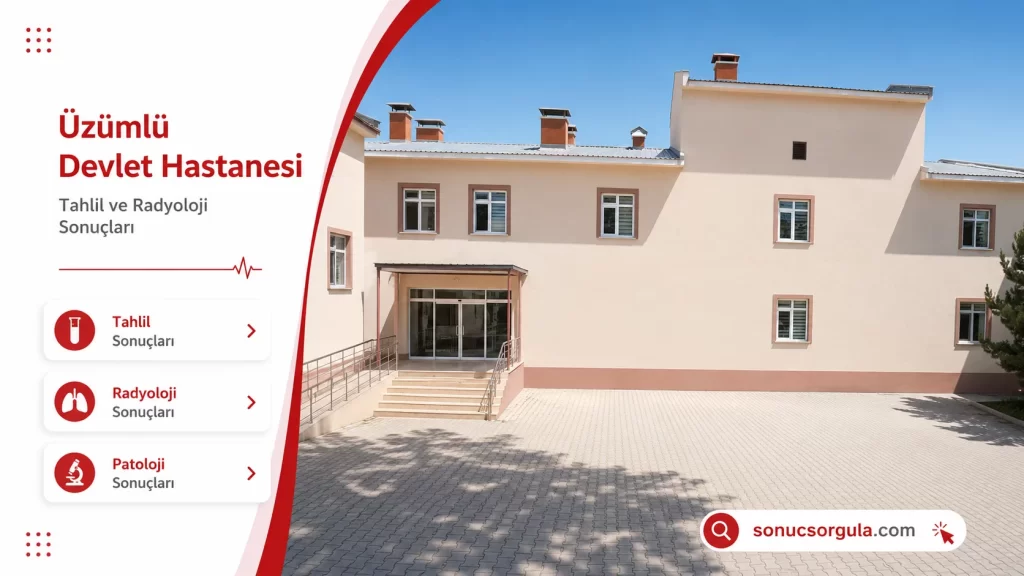 Üzümlü Devlet Hastanesi 