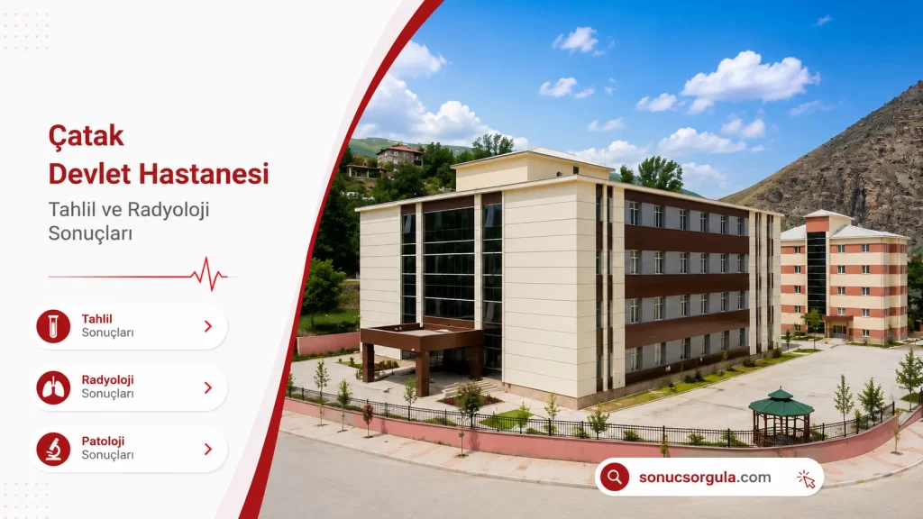 Çatak Devlet Hastanesi