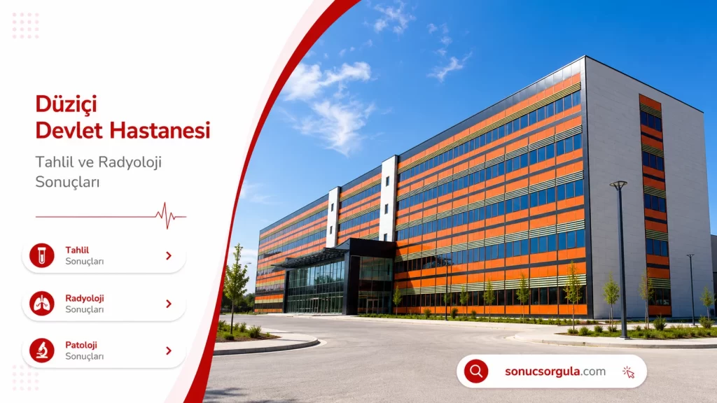 Düziçi Devlet Hastanesi