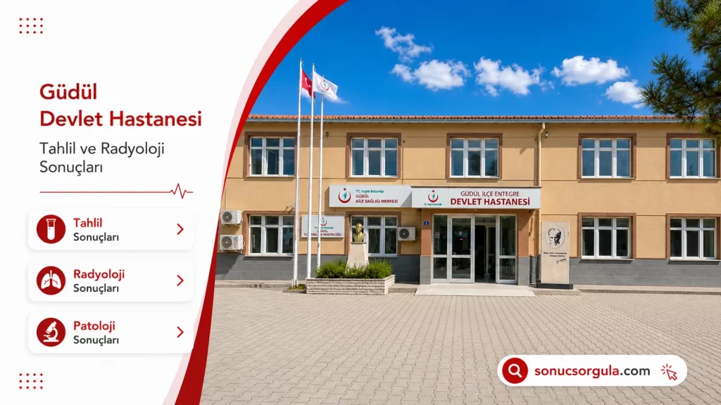 Güdül Devlet Hastanesi