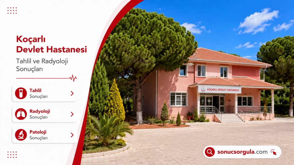 Koçarlı Devlet Hastanesi