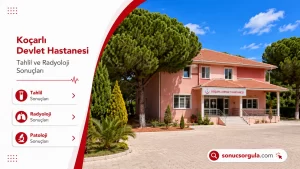 Koçarlı Devlet Hastanesi