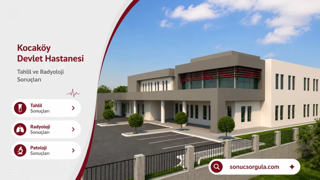 Kocaköy Devlet Hastanesi