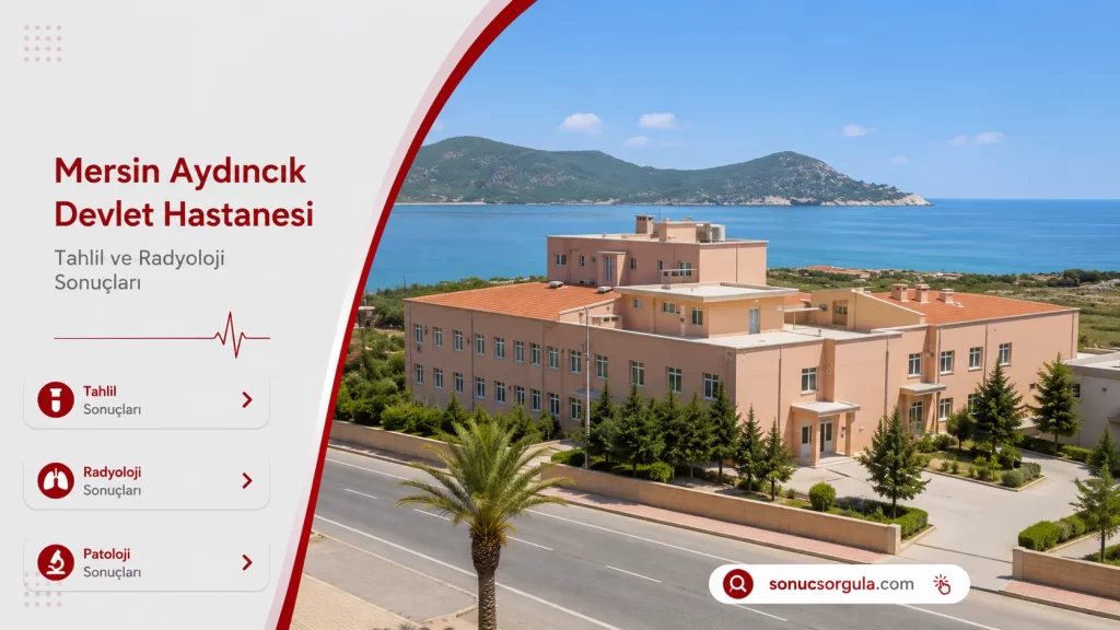 Aydıncık Devlet Hastanesi 
