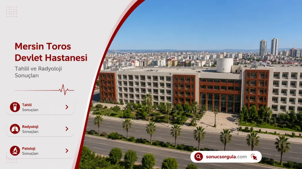 Toros Devlet Hastanesi