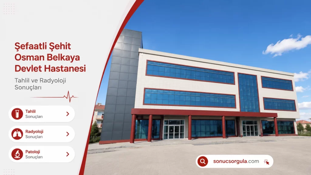 Şefaatli Şehit Osman Belkaya Devlet Hastanesi