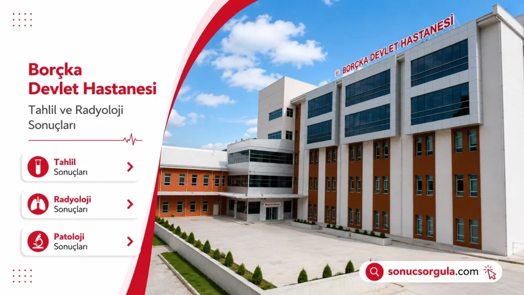 Borçka Devlet Hastanesi
