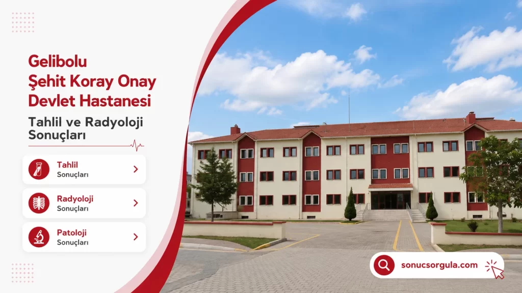 Gelibolu Şehit Koray Onay Devlet Hastanesi