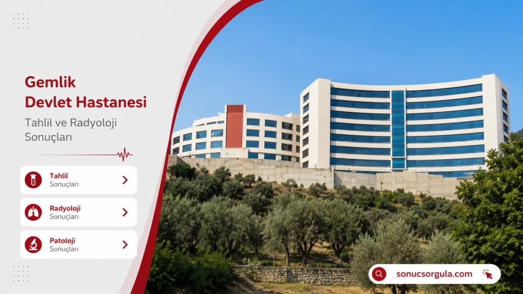 Gemlik Devlet Hastanesi