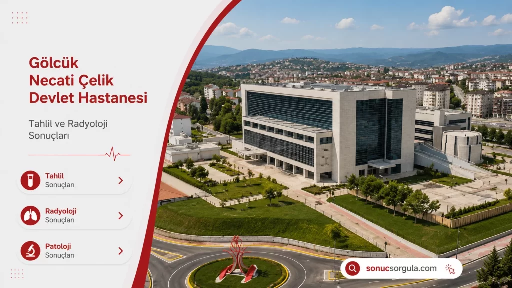 Gölcük Necati Çelik Devlet Hastanesi