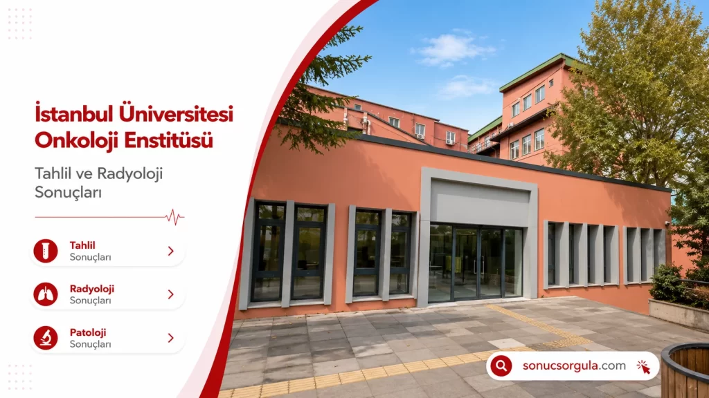İstanbul Üniversitesi Onkoloji Enstitüsü