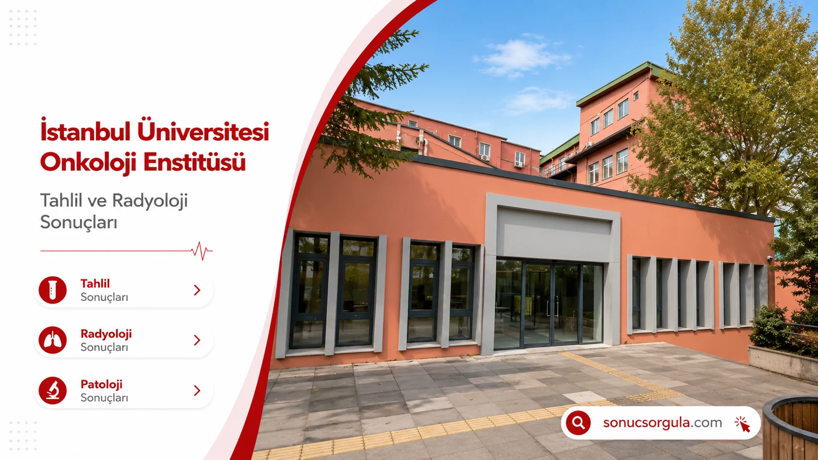 İstanbul Üniversitesi Onkoloji Enstitüsü