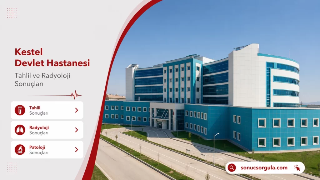 Kestel Devlet Hastanesi
