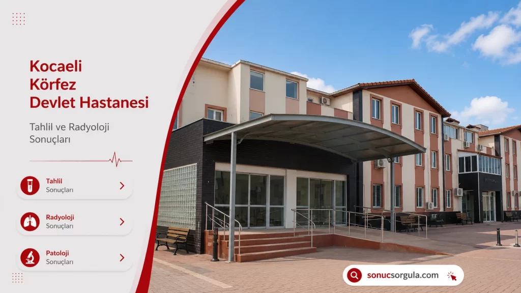 Körfez Devlet Hastanesi 
