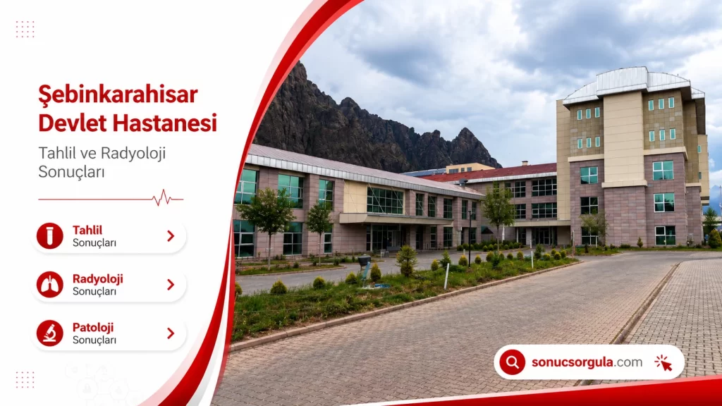 Şebinkarahisar Devlet Hastanesi