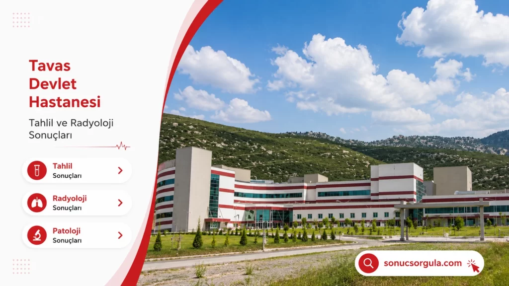 Tavas Devlet Hastanesi
